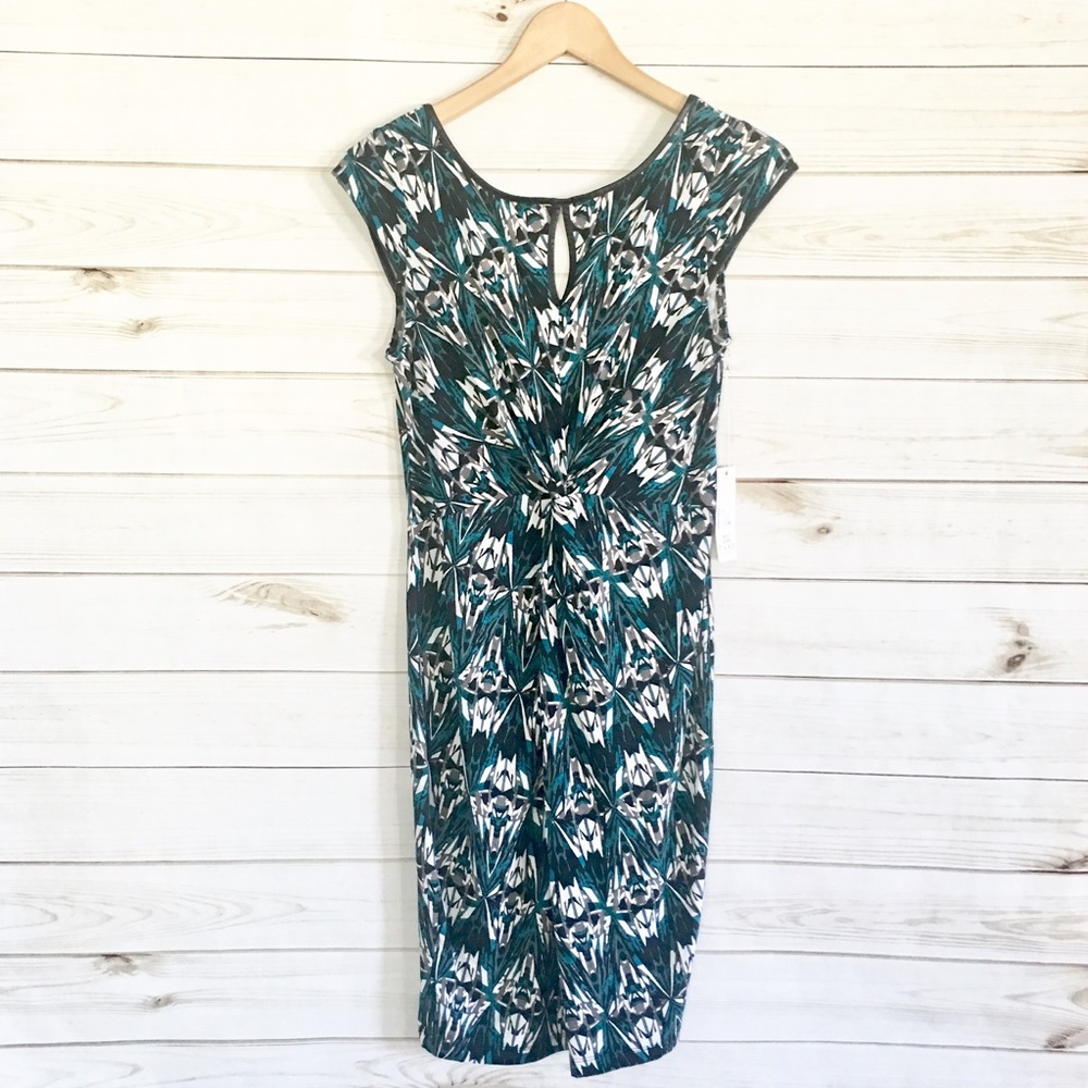 Tart Maternity Jersey Knit‎ Dress